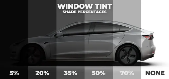 Tesla Window Tinting Laws in Florida
